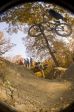 SB.DIRTJAM.3 (Poza 1 din 185)