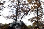 SB.DIRTJAM.3 (Poza 17 din 185)