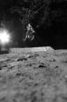 SB.DIRTJAM.3 (Poza 54 din 185)