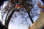 SB.DIRTJAM.3 (Poza 70 din 185)