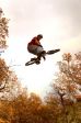 SB.DIRTJAM.3 (Poza 97 din 185)