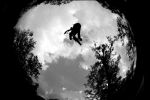 SB.DIRTJAM.3 (Poza 106 din 185)