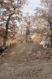 SB.DIRTJAM.3 (Poza 115 din 185)