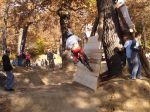 SB.DIRTJAM.3 (Poza 135 din 185)