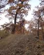 SB.DIRTJAM.3 (Poza 157 din 185)