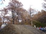 SB.DIRTJAM.3 (Poza 158 din 185)