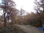 SB.DIRTJAM.3 (Poza 160 din 185)