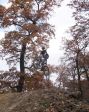 SB.DIRTJAM.3 (Poza 172 din 185)