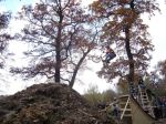 SB.DIRTJAM.3 (Poza 176 din 185)